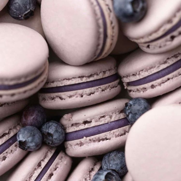 Blueberry Yoghurt Macaron